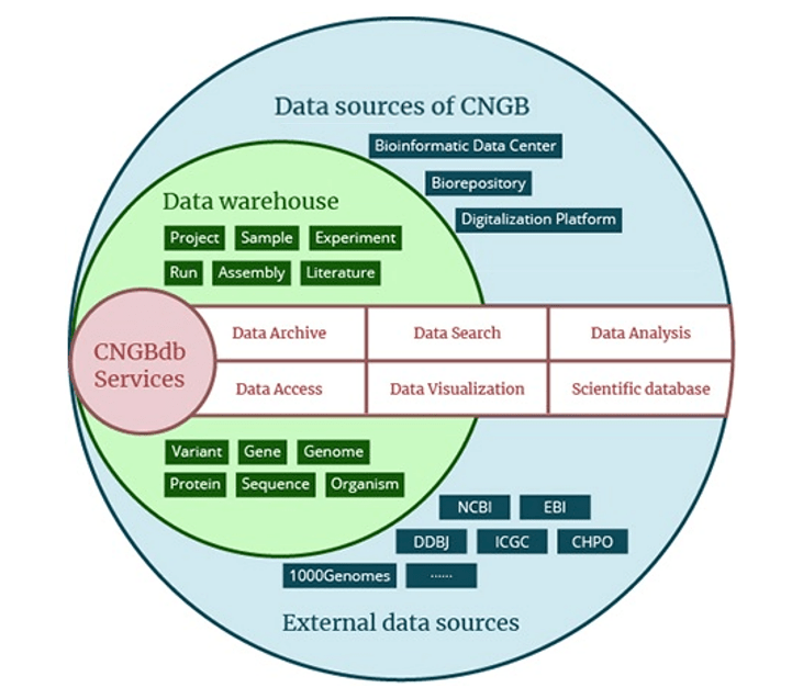 CNGBdb data structure