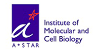 Institute of Molecular and Cell Biology, A*STAR
