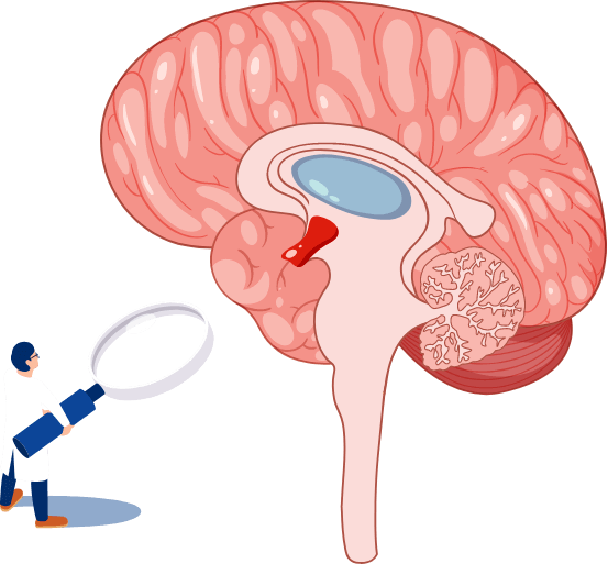 Hypo Cell Atlas(HCA)