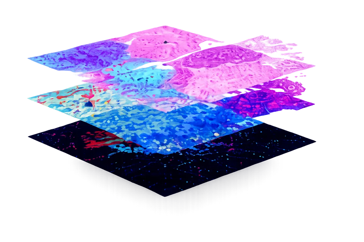 Spatial omics visualization