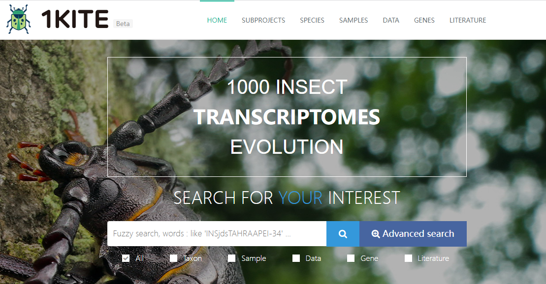 1KITE: 1,000 Insect Transcriptome Evolution