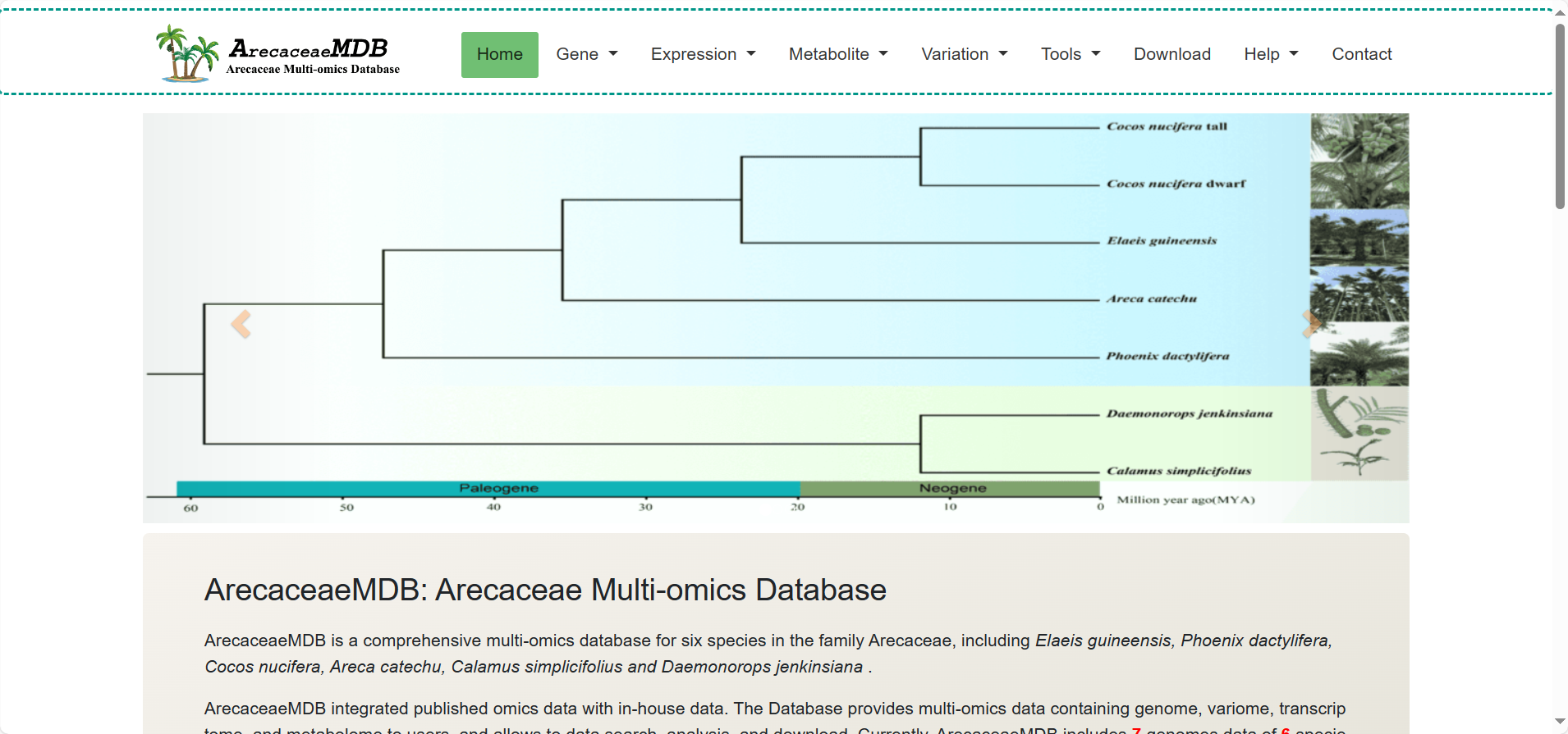 ArecaceaeMDB: Arecaceae Multi-omics Database