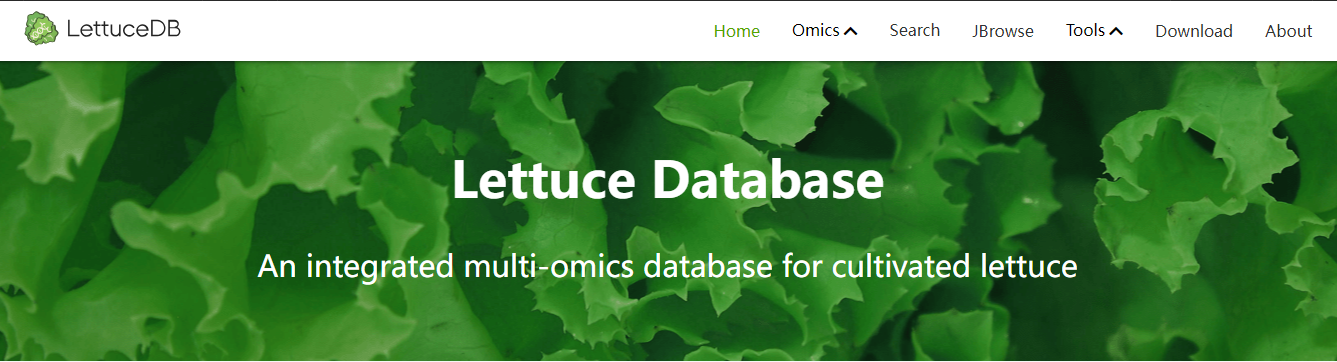 LettuceDB: Lettuce DataBase