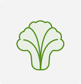 LettuceDB: Lettuce DataBase