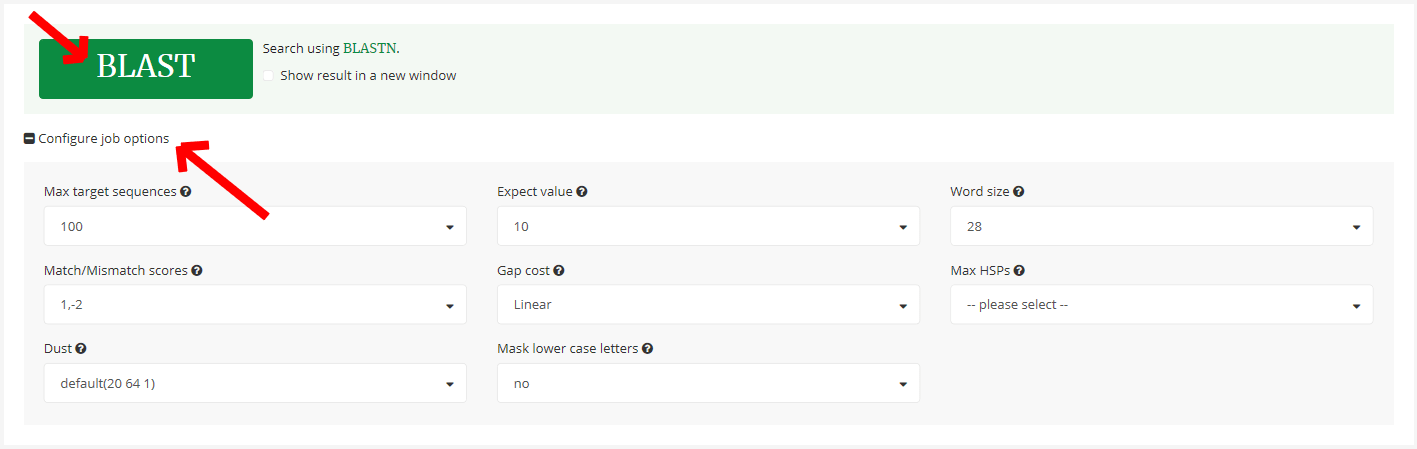 BLAST job options