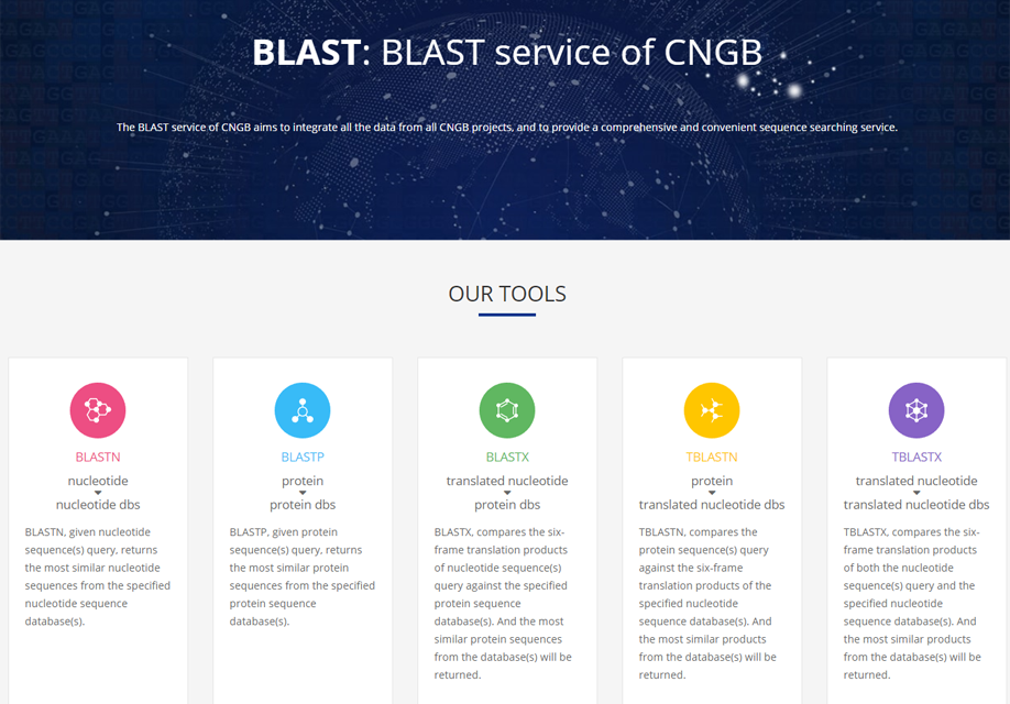 BLAST service of CNGB