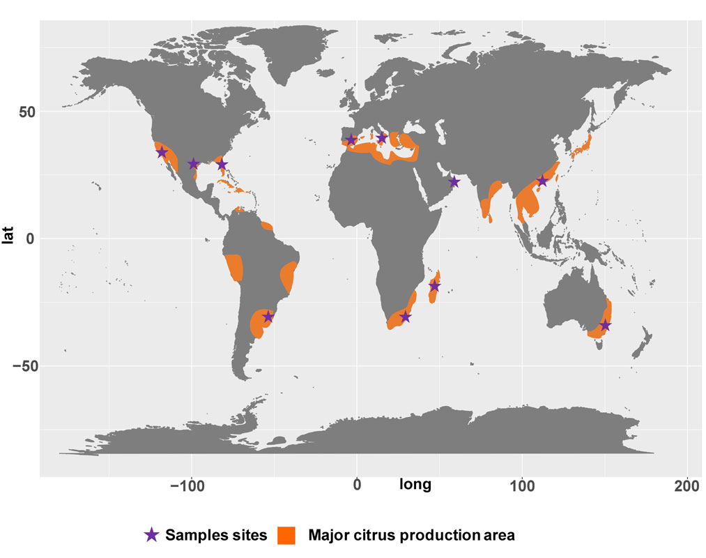 world map