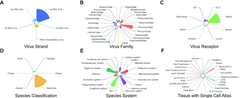 VThunter: a database for single-cell screening of virus target cells in animal kingdom