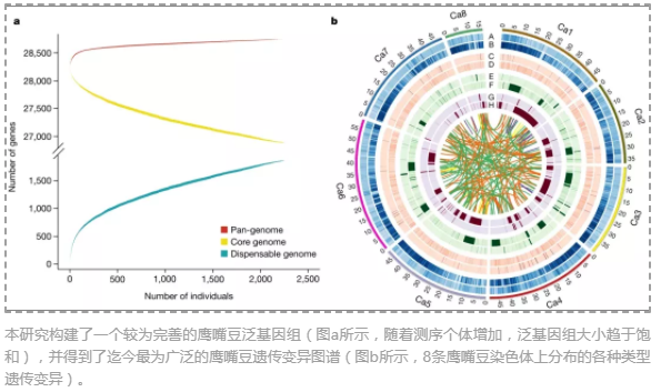 全球3,366 份鹰嘴豆种质的遗传变异图谱-3.png