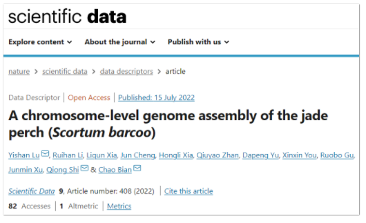 宝石鲈基因组染色体图谱-1.png