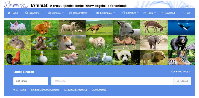 动物跨物种多组学知识库IAnimal-2.png