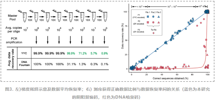 阴阳双编码新方法实现高密度、高稳定DNA信息存储-4.png