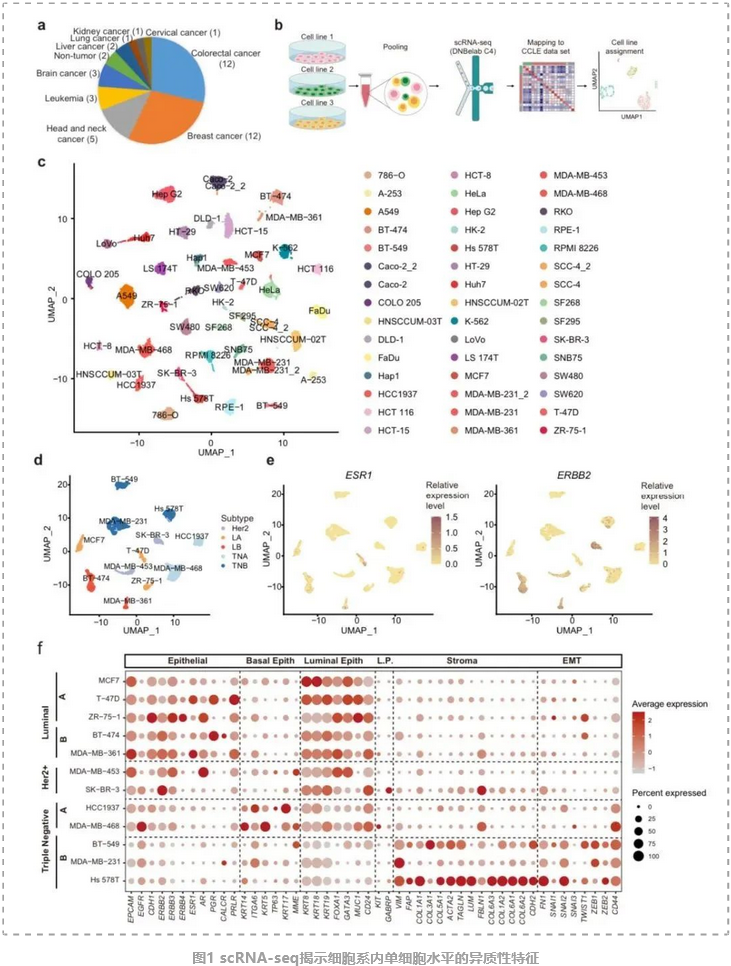 人类癌症细胞系单细胞图谱-2.png