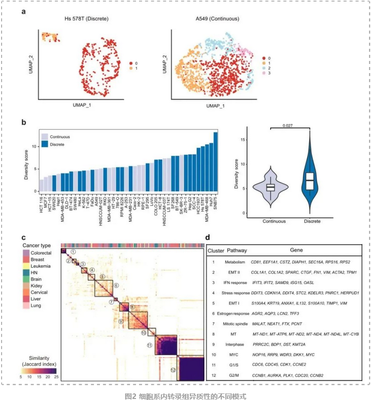 人类癌症细胞系单细胞图谱-3.png