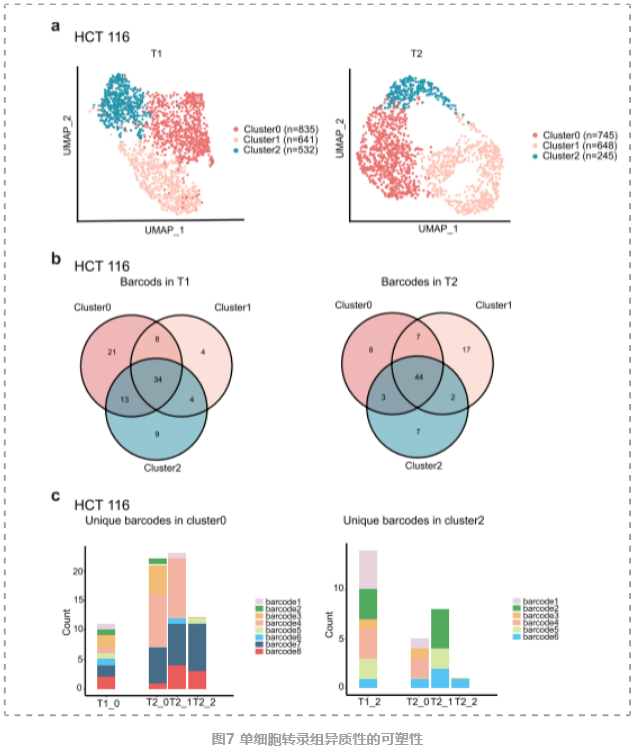 人类癌症细胞系单细胞图谱-8.png