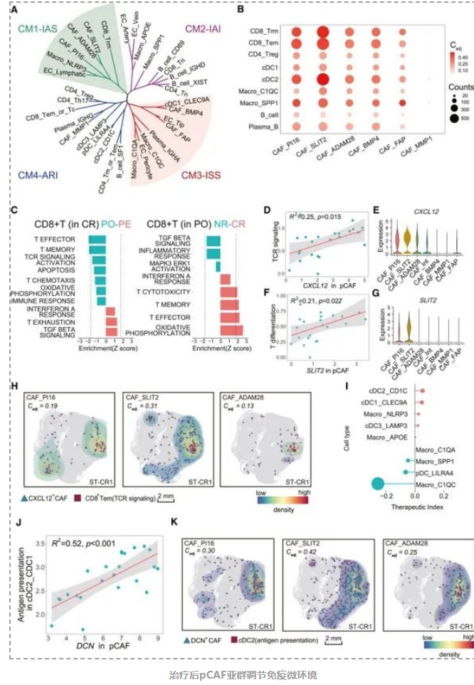 Cell Reports Medicine新成果为直肠癌治疗提供重要线索-5.png