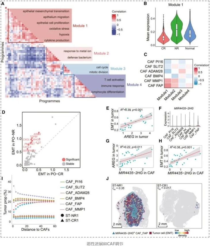 Cell Reports Medicine新成果为直肠癌治疗提供重要线索-6.png