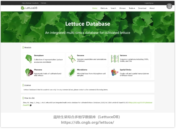 LettuceDB-3.png