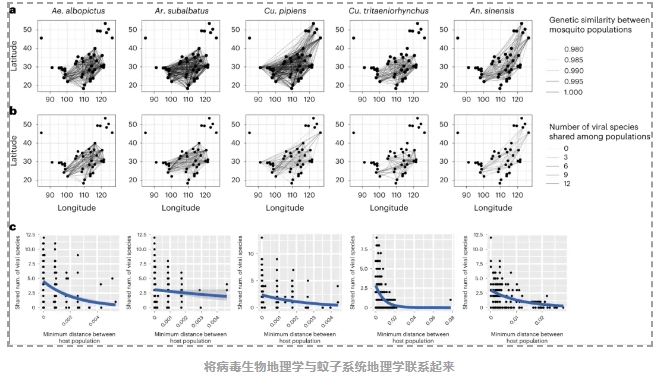 蚊虫病毒组特征-7.png