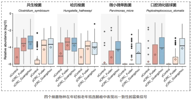 老年肠癌共有特征-2.png