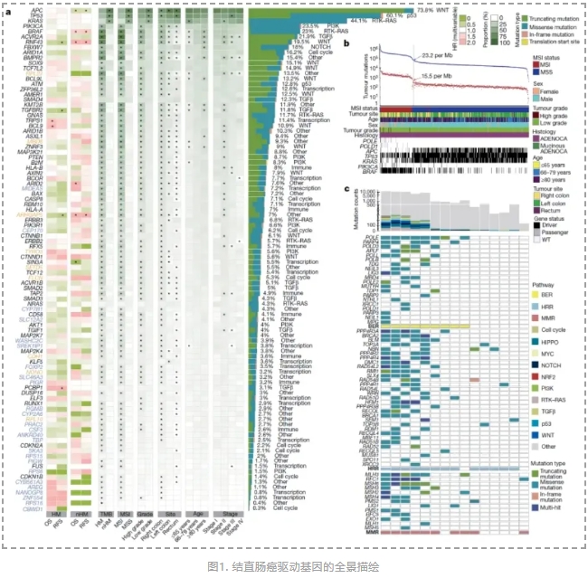 全球最大规模结直肠癌多组学研究-2.png