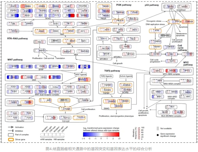 全球最大规模结直肠癌多组学研究-5.png