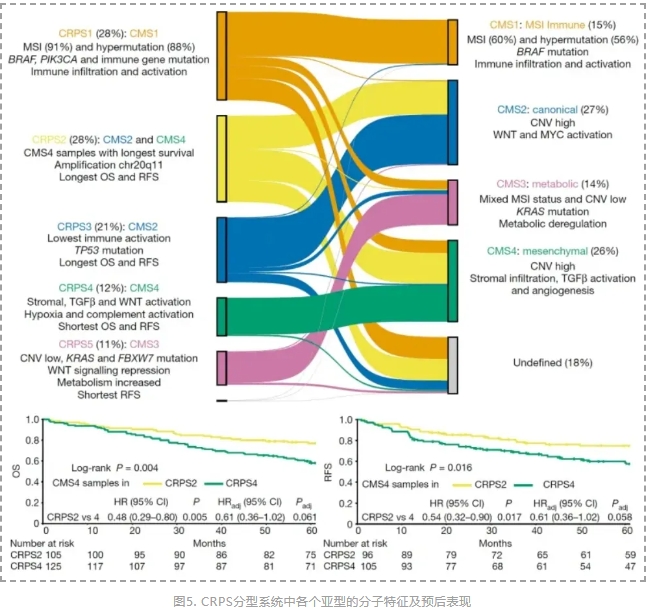 全球最大规模结直肠癌多组学研究-6.png