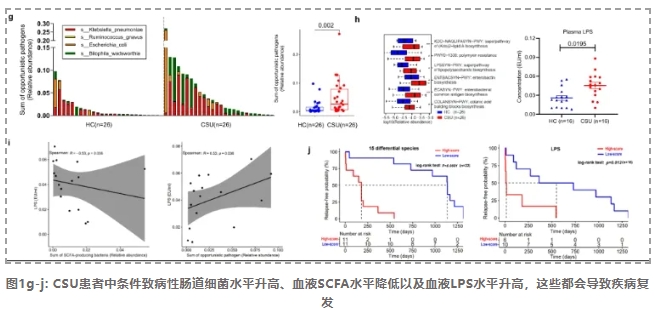 肠道菌群紊乱促进慢性自发性荨麻疹-3.png