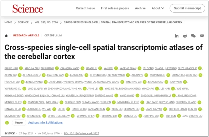 跨物种小脑皮层单细胞空间转录组图谱-1.png