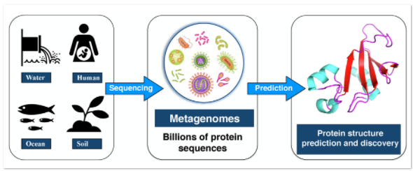 宏基因组数据如何被用于蛋白质结构预测和蛋白质发现-1.png