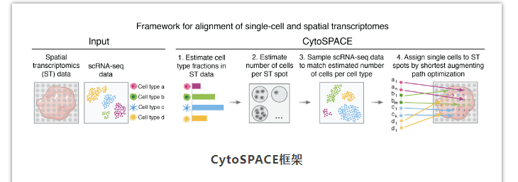 CytoSPAC-2.png