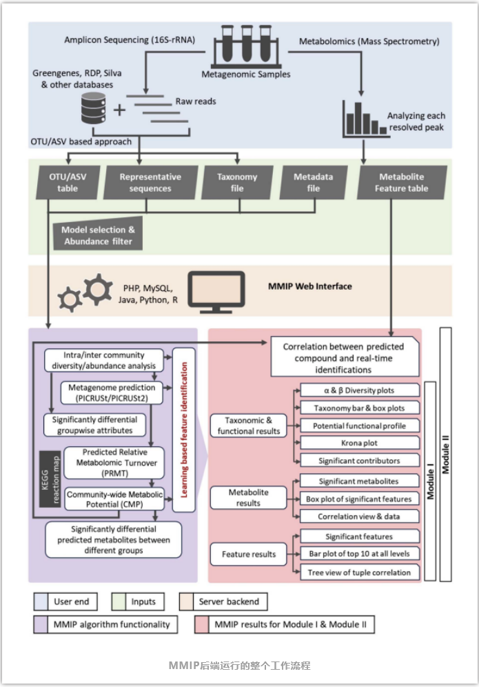 MMIP-2.png