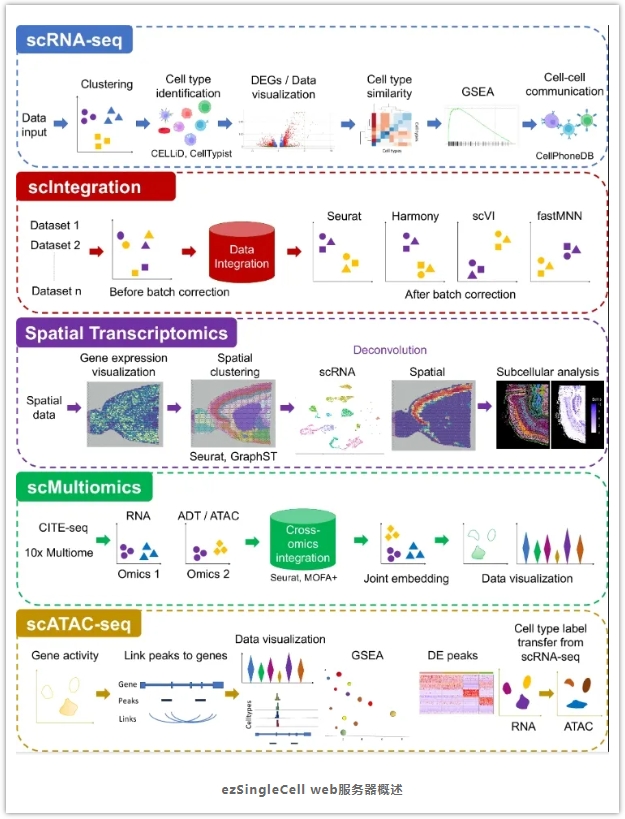 ezSingleCell-2.png