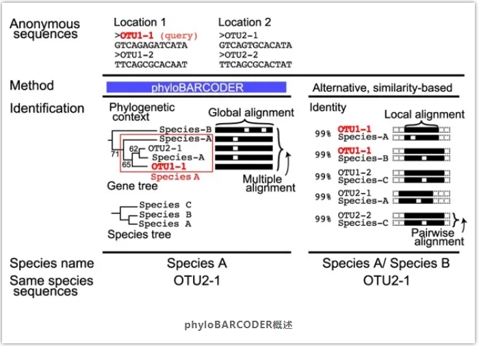 phyloBARCODER-2.png