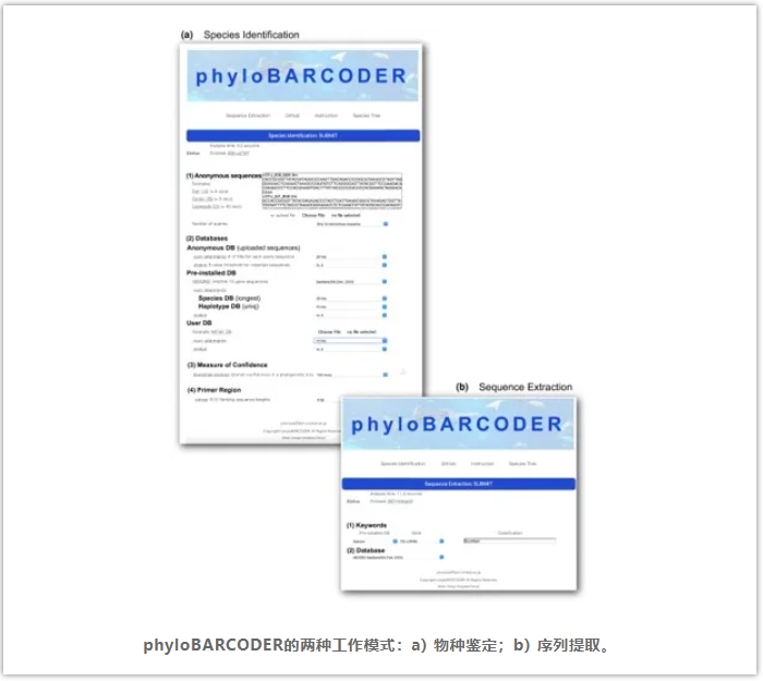 phyloBARCODER-3.png