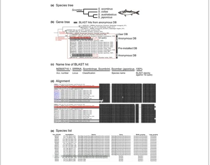 phyloBARCODER-4.png