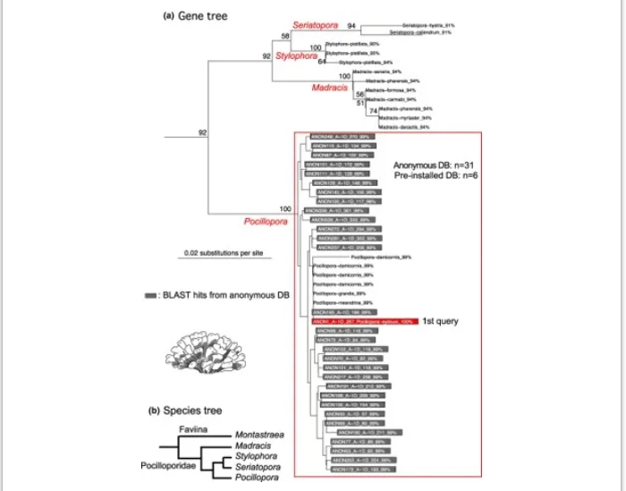 phyloBARCODER-5.png