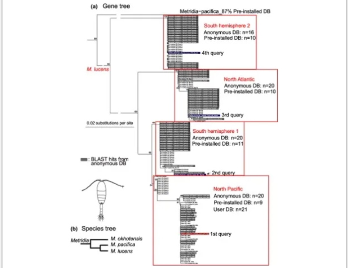 phyloBARCODER-6.png