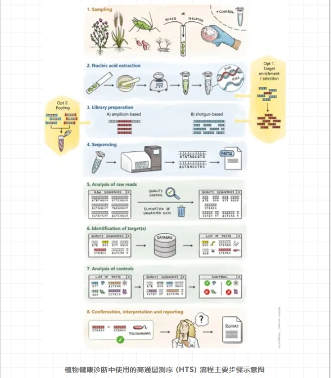 超详细HTS物种鉴定指南-2.png