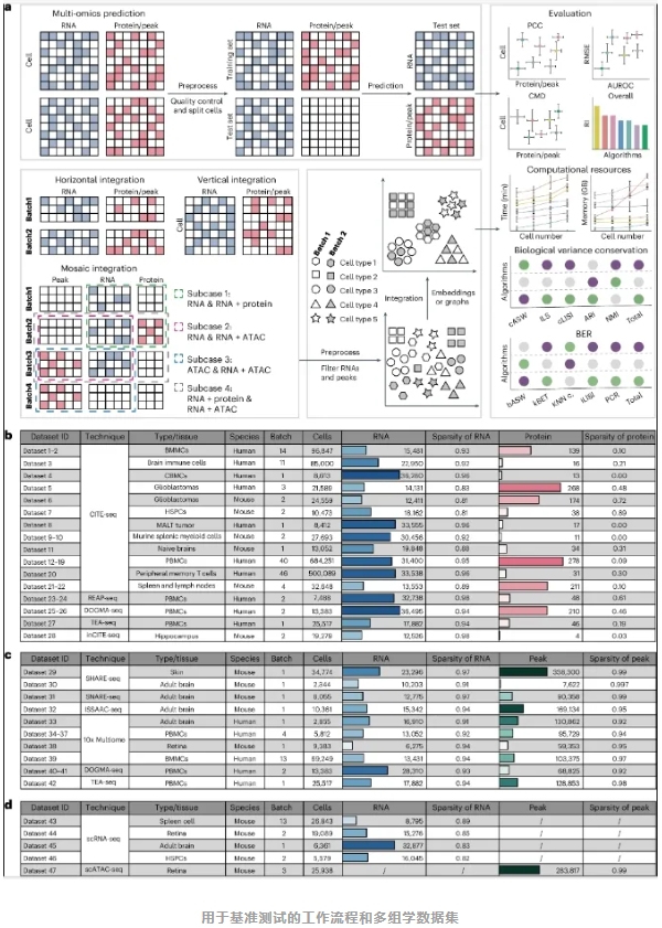 单细胞多组学整合算法-2.png