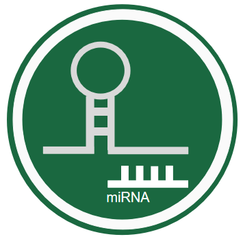 miRNA