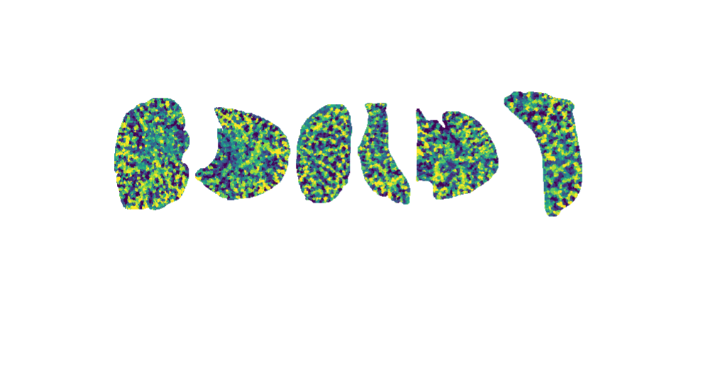 Multiomic researches revealed a spatial-temporal cellular atlas of mouse liver regeneration