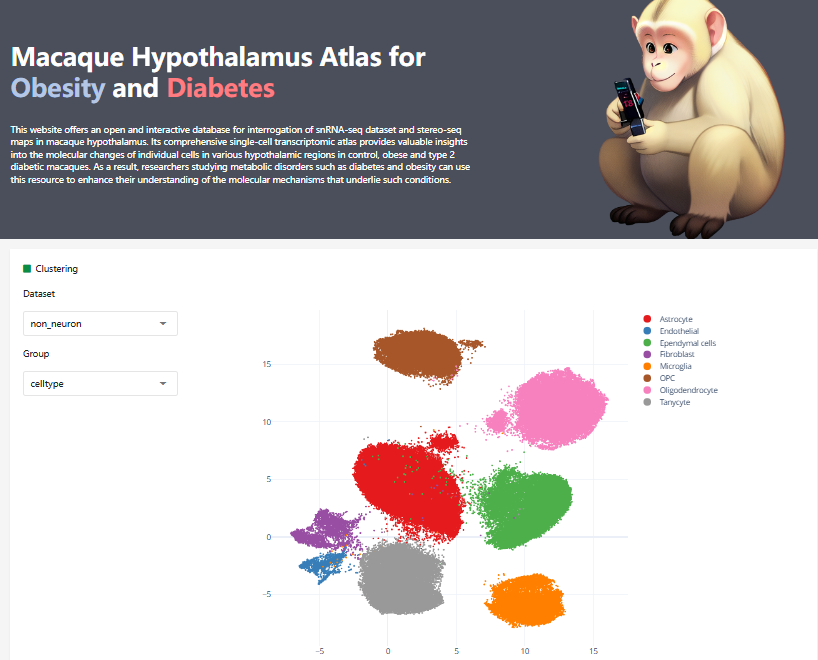 Macaque Hypothalamus Atlas for Obesity and Diabetes