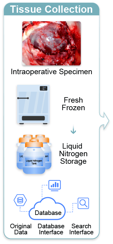 Genetic bank