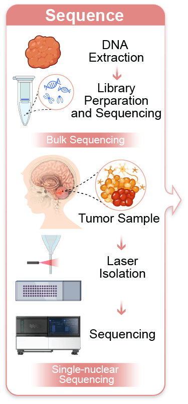 Genetic bank